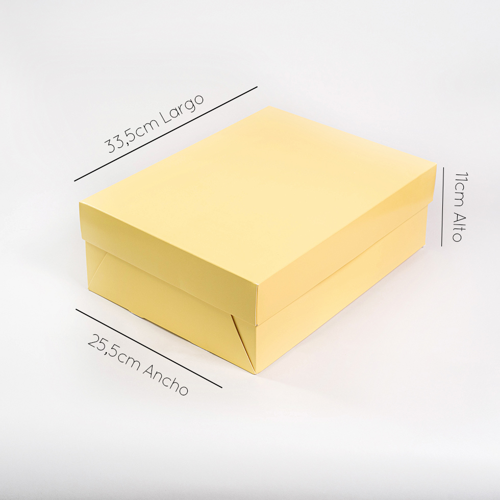 Caja jumbo grande pastel